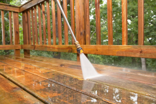 Animal Enclosure Cleaning in Macon, MO